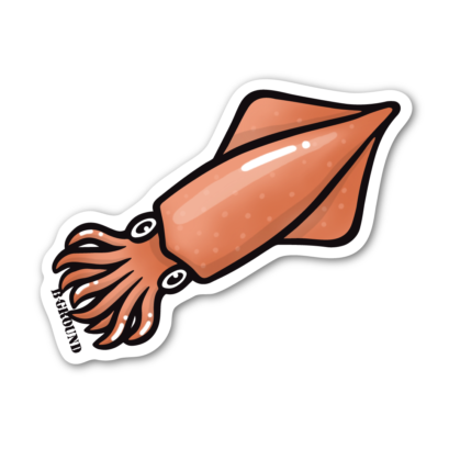 【新入荷・２サイズあり】ケンサキイカステッカー